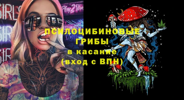 PSILOCYBIN Горно-Алтайск