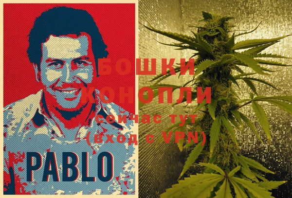 PSILOCYBIN Горно-Алтайск