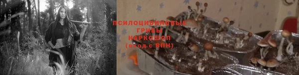 прущий лед Горняк