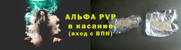 PSILOCYBIN Горно-Алтайск