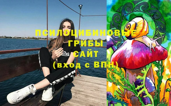 прущий лед Горняк