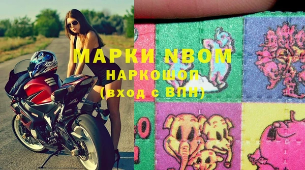 PSILOCYBIN Горно-Алтайск