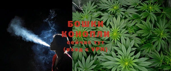 PSILOCYBIN Горно-Алтайск