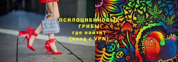 прущий лед Горняк