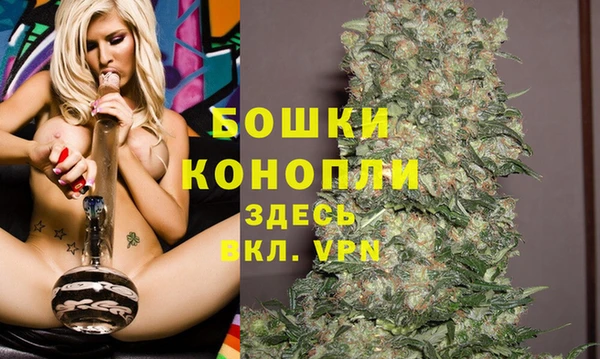 прущий лед Горняк