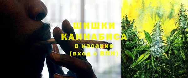 PSILOCYBIN Горно-Алтайск