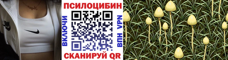 ссылка на мегу рабочий сайт  Ярославль  Псилоцибиновые грибы прущие грибы 
