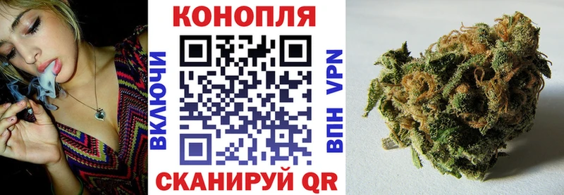Конопля сатива Ярославль